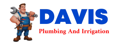 Trusted plumber in HIBERNIA